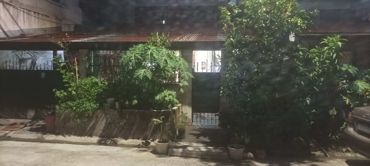 House and Lot for Sale in BIR Executive Village, Fairview, Quezon City