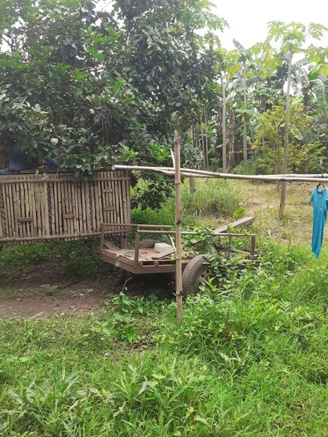 2.8 hectares (Whole lot) Farm Lot/Residential Farm Lot for Sale in Morong, Rizal