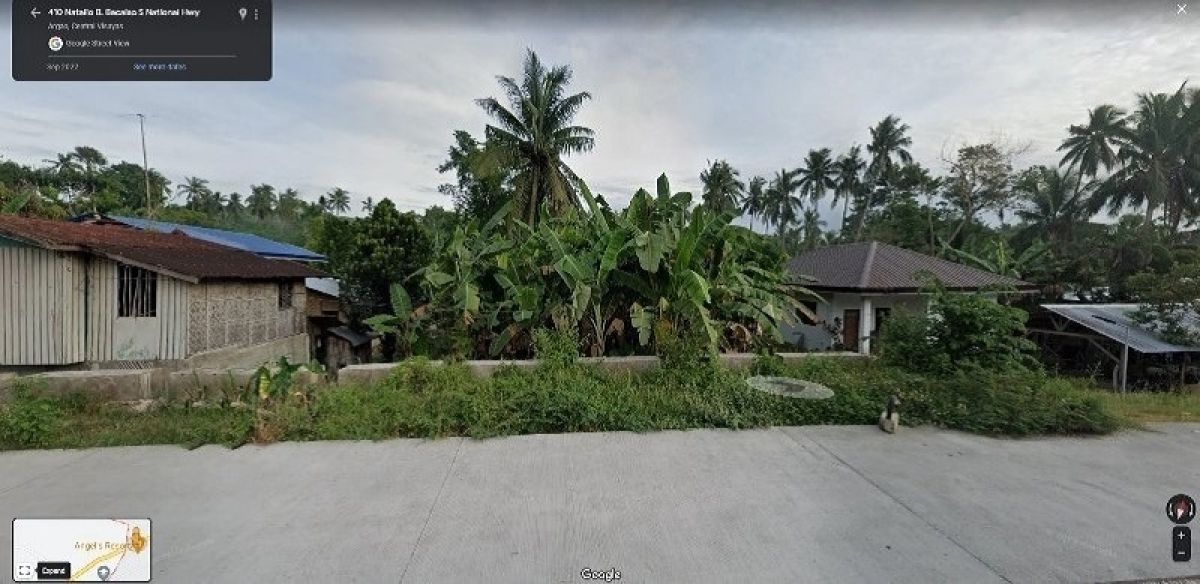 600 sq. meters Residential lot for sale in Province of Argao, Cebu