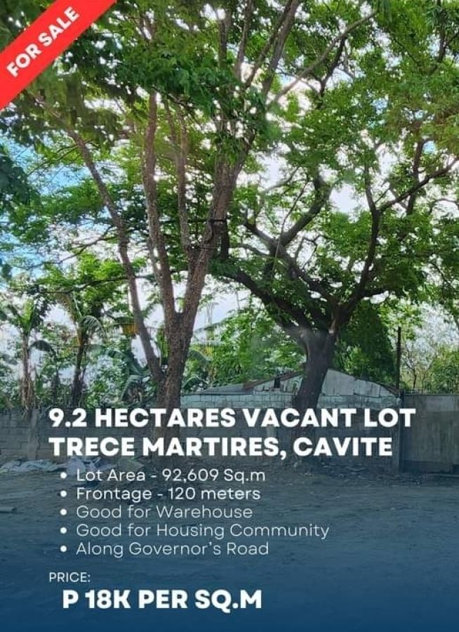 Vacant Lot in Trece Martires, Cavite for SALE