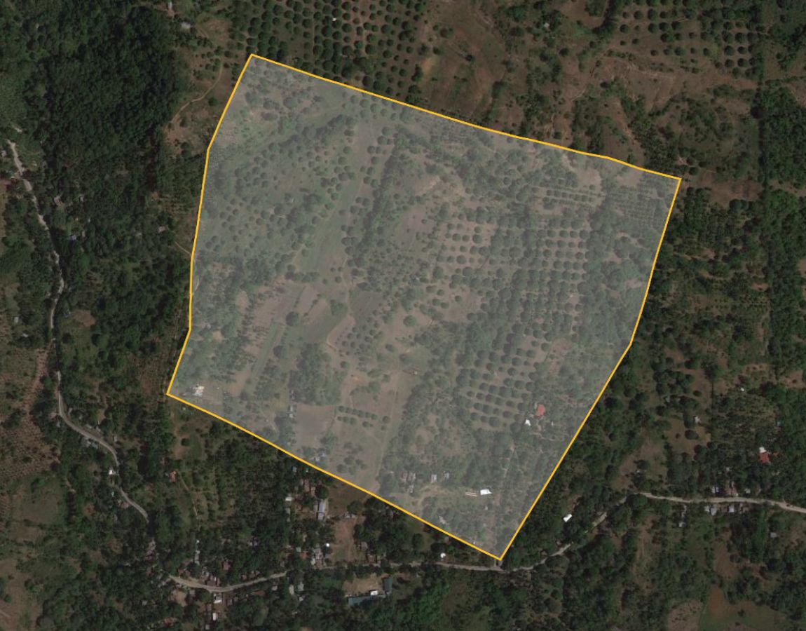 Farm lot / Agricultural land for sale in Lumbia, Cagayan de Oro city