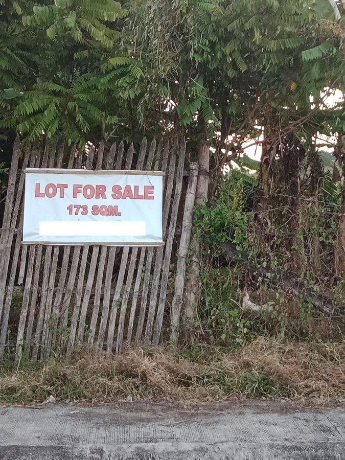 Residential Lot for Sale in Sta. Barbara, Iloilo