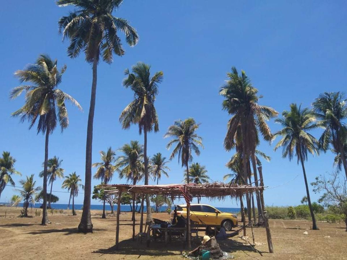 7,000 sqm Beach Lot for Sale in Agno City, Pangasinan