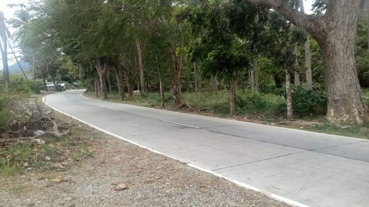 337 hectares in Talahib Pandayan Batangas City