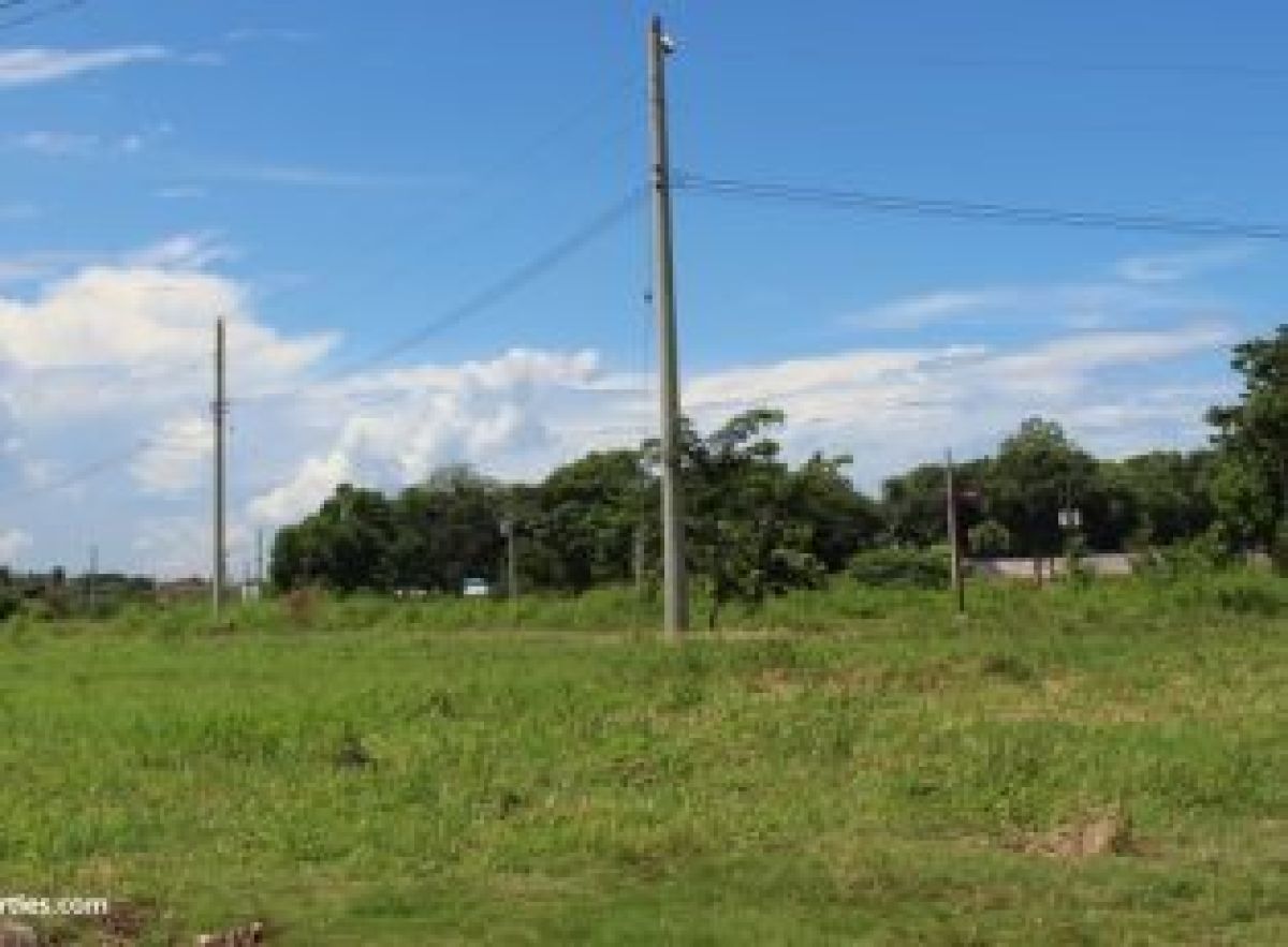 11 Hectares Lot For Sale in Barangay Bila SISON Pangasinan Just 2 Kms from TPLEX