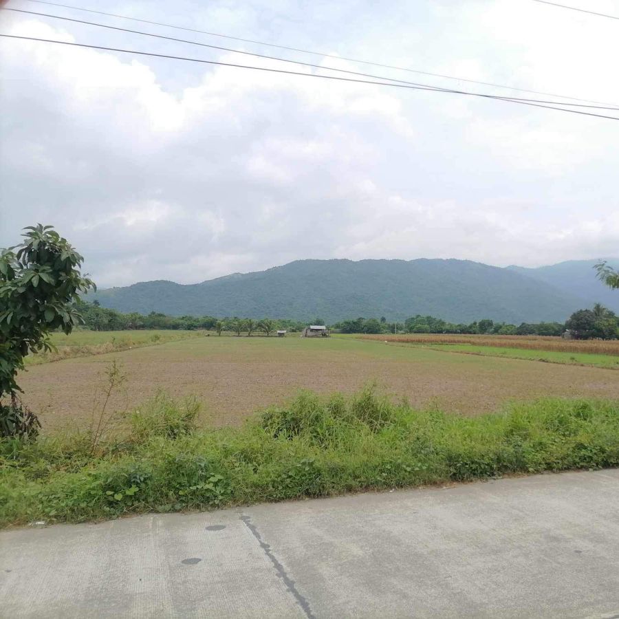 Multi use lot with beautiful mountain view near bypass road