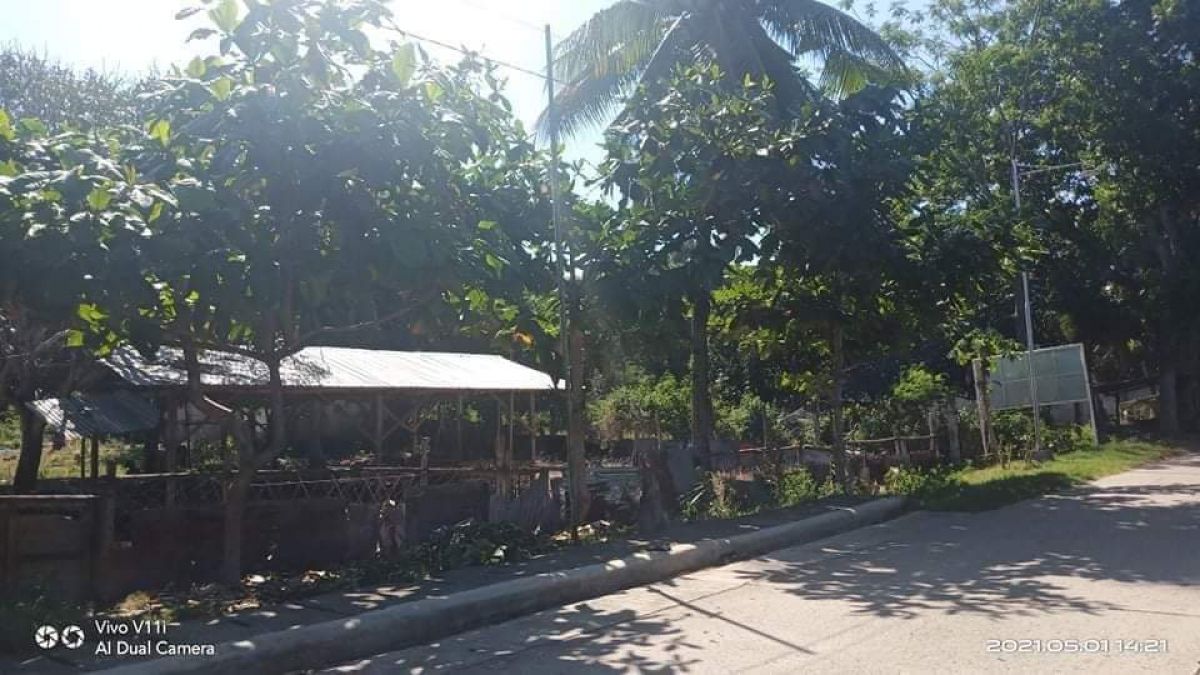 Lot Property Sale, Borbon, Cebu