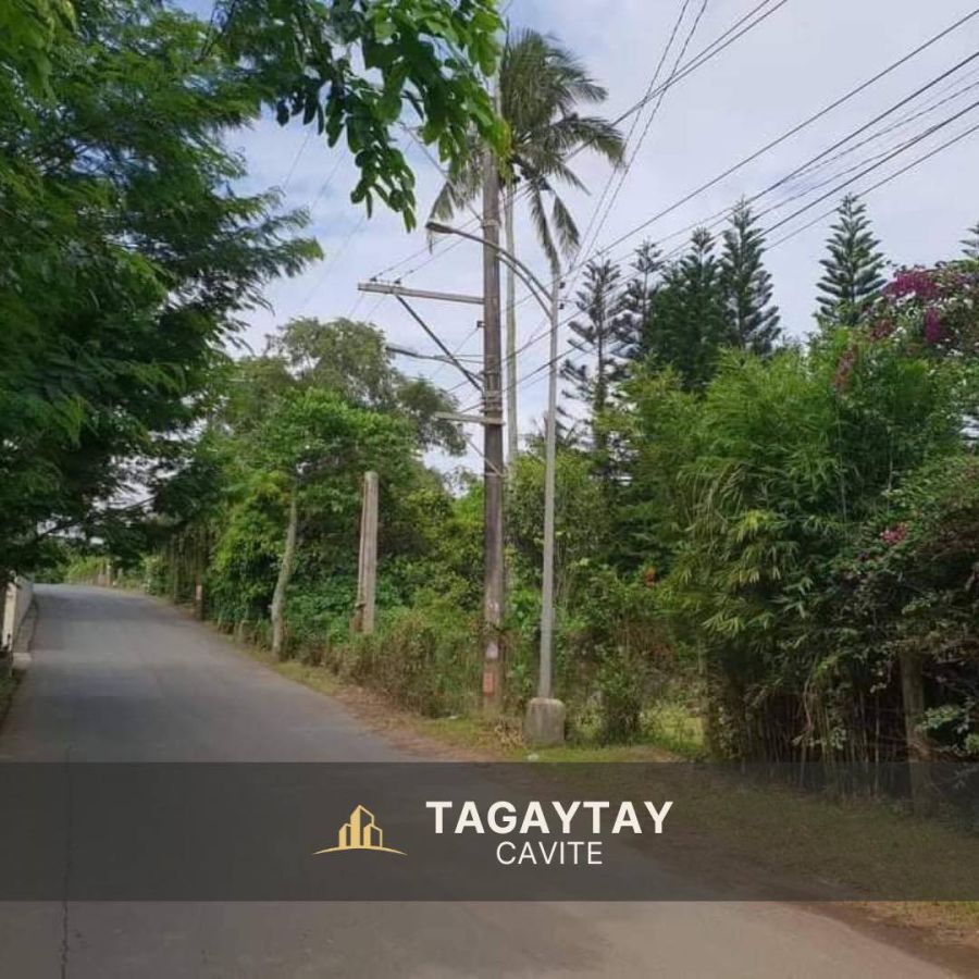 Farm Lot in Tagaytay for Sale