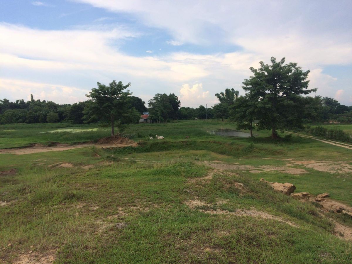 Lot For Sale in Brgy. Tibag, Tarlac City