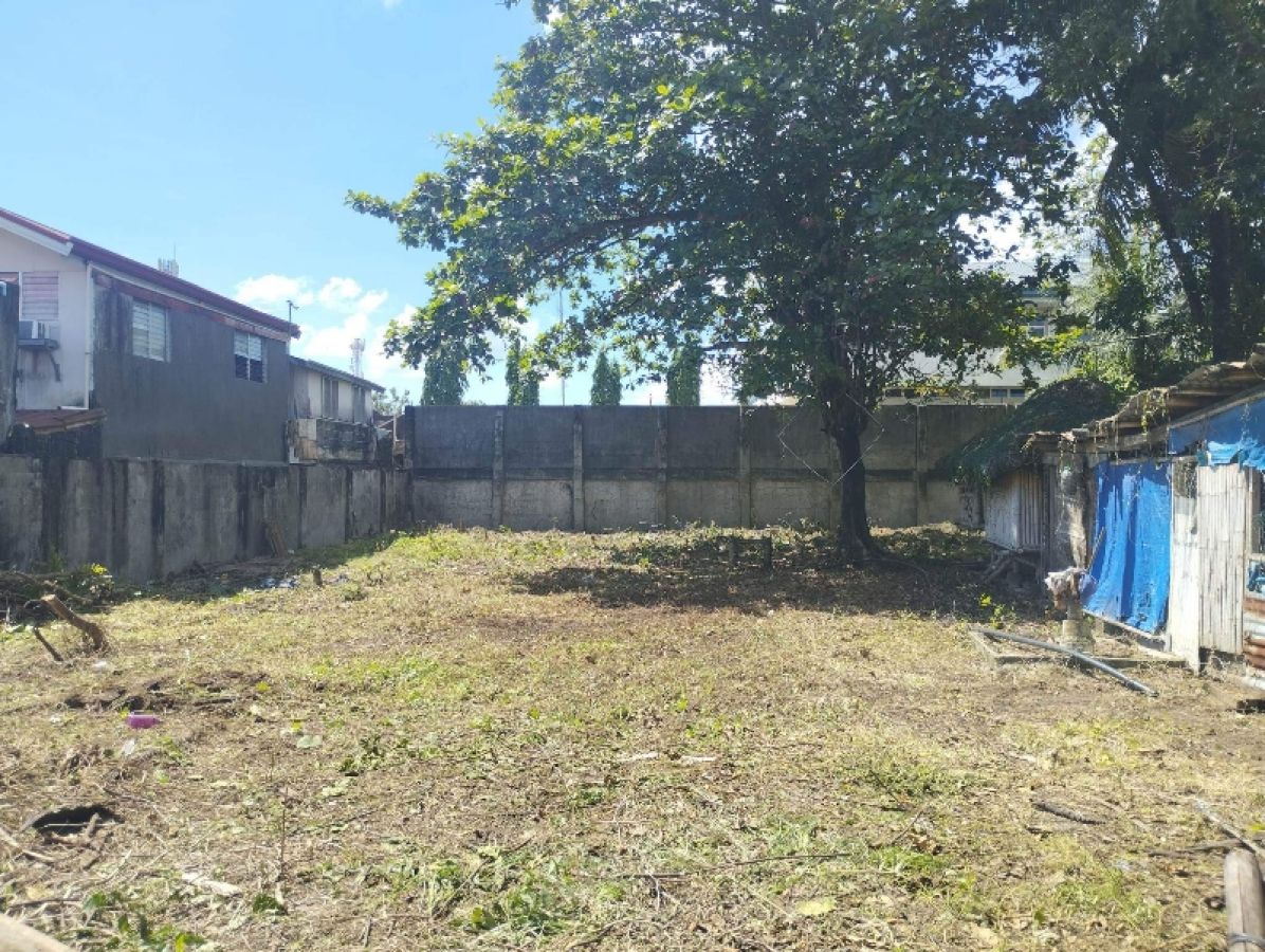 588 sqm Residential Lot for Sale in Deleon St. Mandurriao, Iloilo