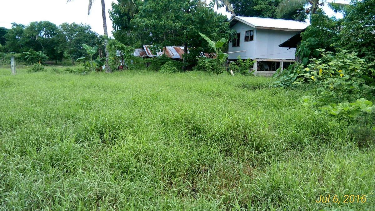 for-sale-500-square-meter-empty-lot-at-culianan