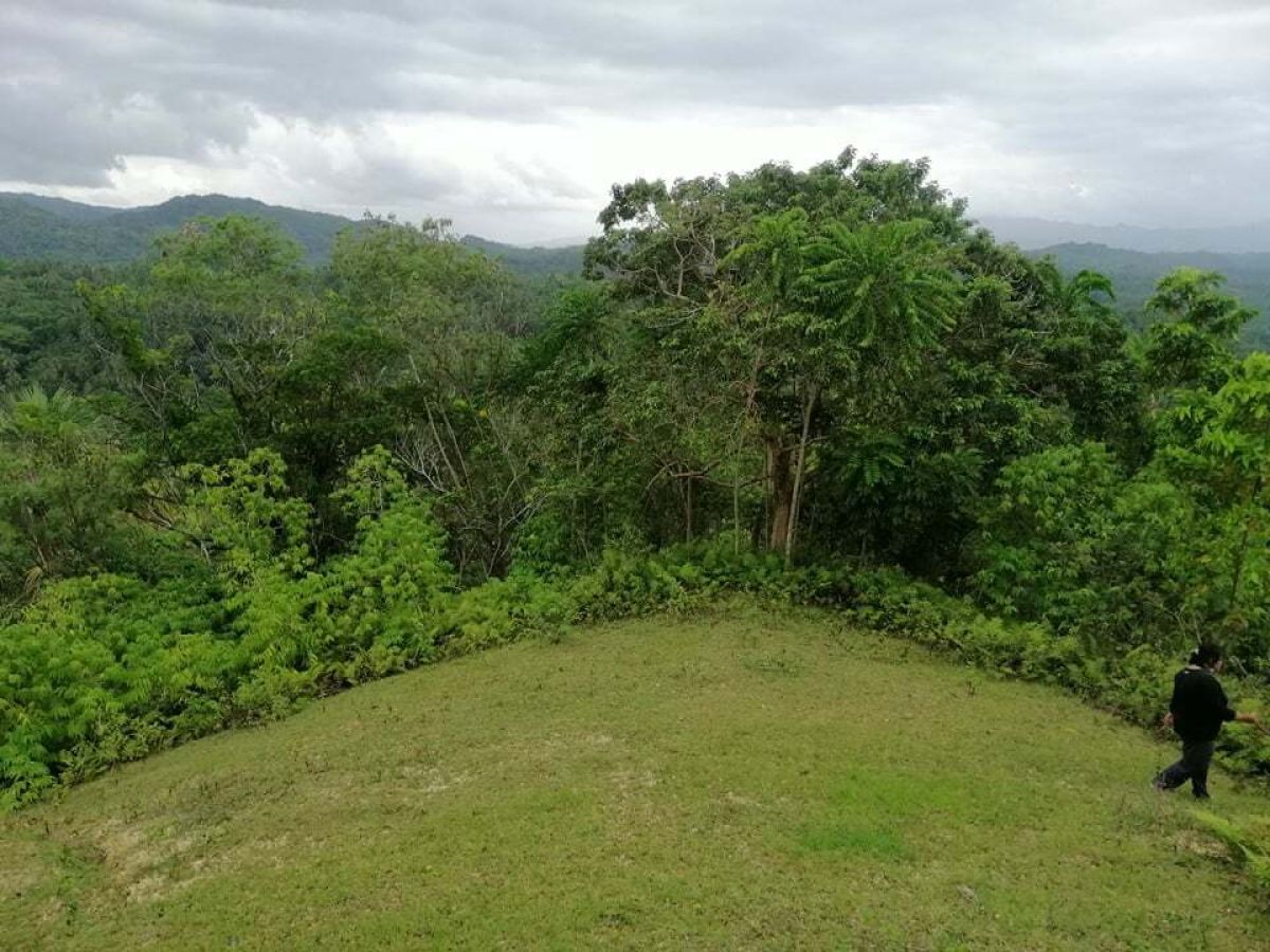 Titled Agriculture Lot For Sale in San Isidro, Hilongos, Leyte