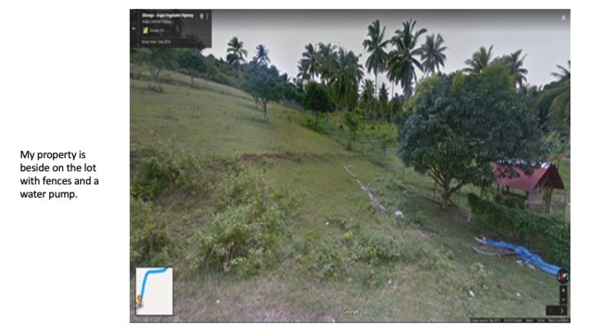 9,155 sq meters farm in Brgy Tulang, Argao Cebu for sale, DP P500K