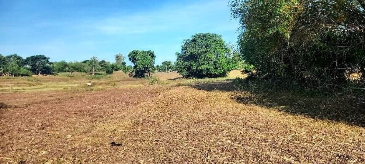 16-has land for Sale in Alaminos City, Pangasinan