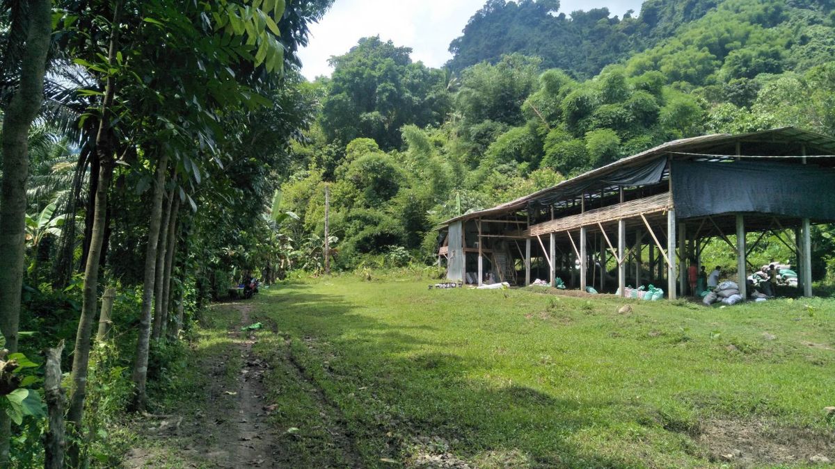 For Sale! 12 Hectares Forest Eco Farm
