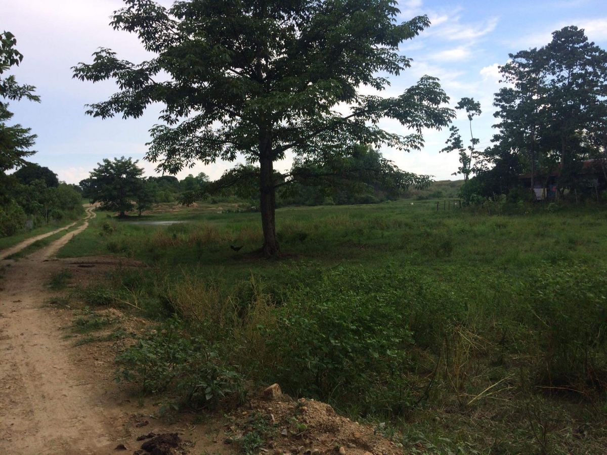 Lot For Sale in Brgy. Tibag, Tarlac City