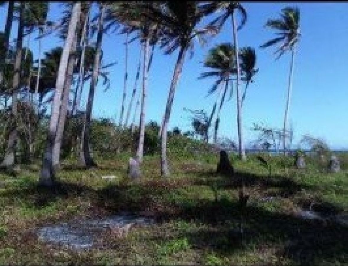 Beach lot For Sale at Lubang, Occidental Mindoro