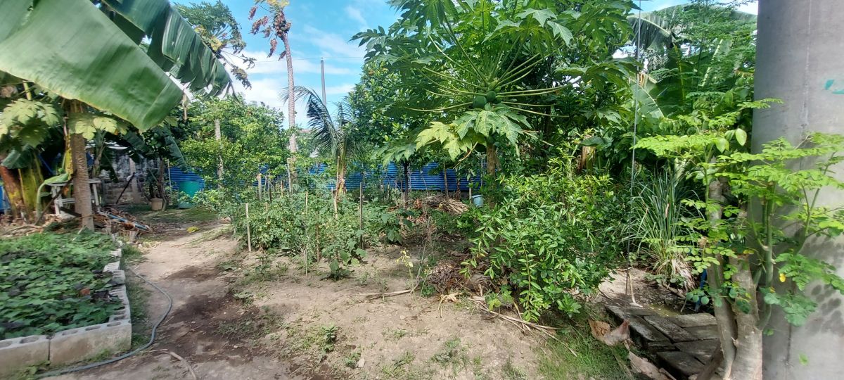RUSH SALE: 195 SQM LOT in Bacoor Cavite