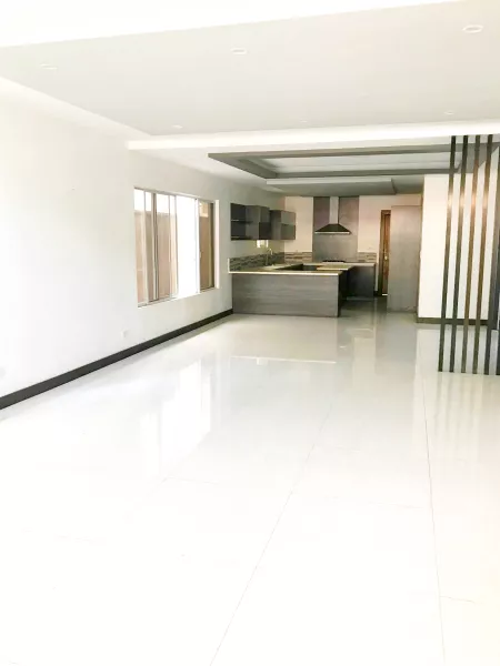 5BR Rocha Street San Lorenzo Village For Rent Lease Unfurnished Makati Modern