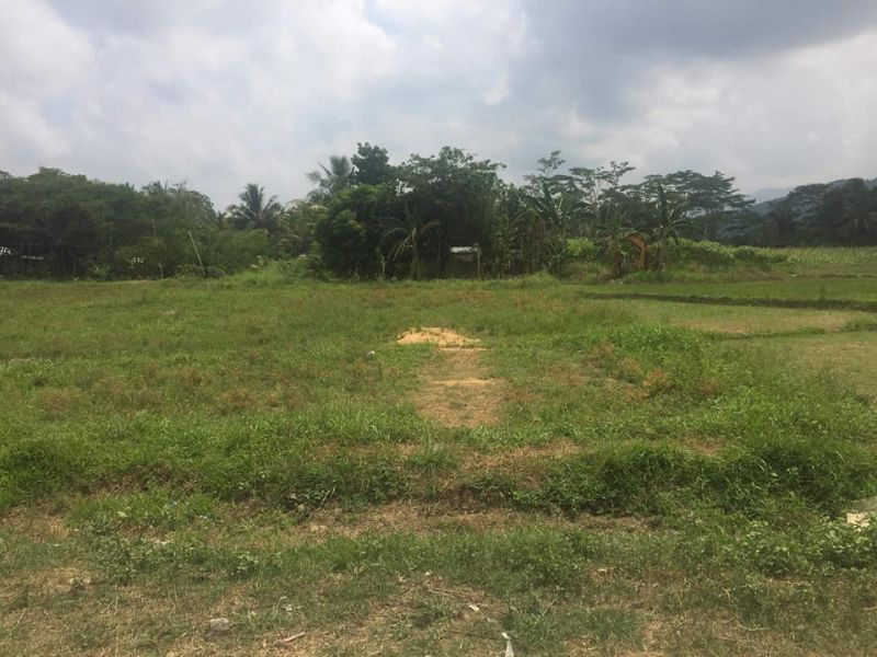 ZRL-16 | Lot for Sale in Rosario, Agusan del Sur