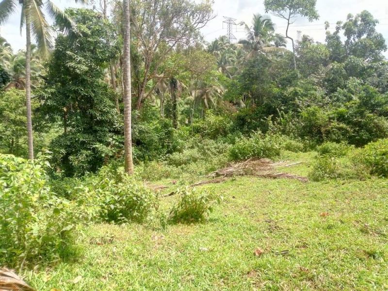 1 Hectare Farm Land for Sale at Lucban, Quezon