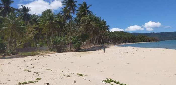 Lot For Sale In El Nido Palawan Lamudi