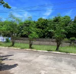 Lot For Sale in Pattiqui Santa Cruz Lamudi