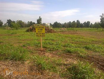 Vacant Lot for Development