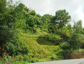 Lot for Rent in the Philippines - Lease Land | Lamudi