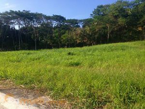 Huge Commercial Lot for Sale in Quezon City